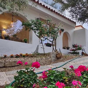 Il Salice b&b
